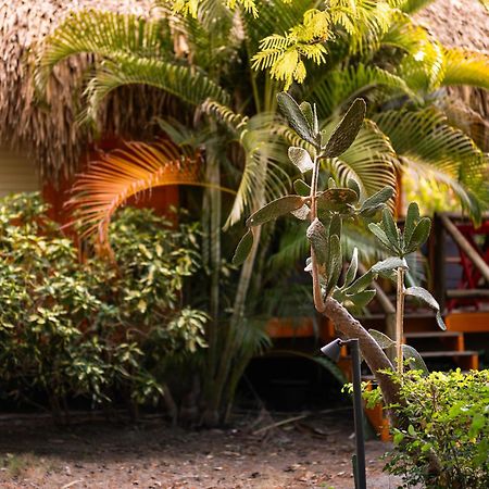 Mondi Lodge Dorp Dorp Sint Michiel المظهر الخارجي الصورة