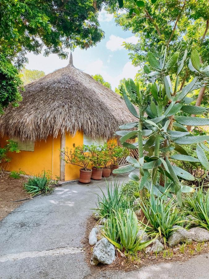 Mondi Lodge Dorp Dorp Sint Michiel المظهر الخارجي الصورة