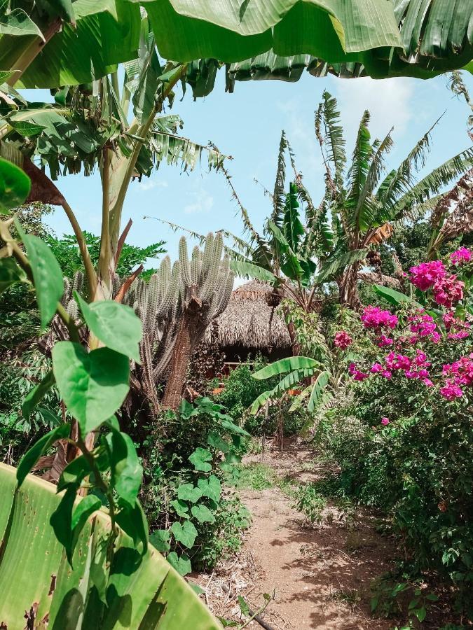 Mondi Lodge Dorp Dorp Sint Michiel المظهر الخارجي الصورة