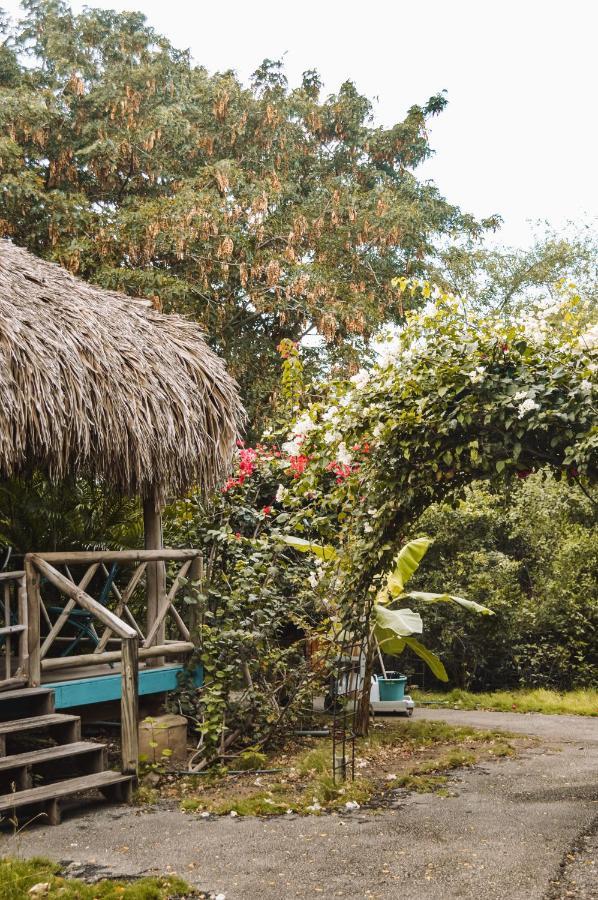 Mondi Lodge Dorp Dorp Sint Michiel المظهر الخارجي الصورة
