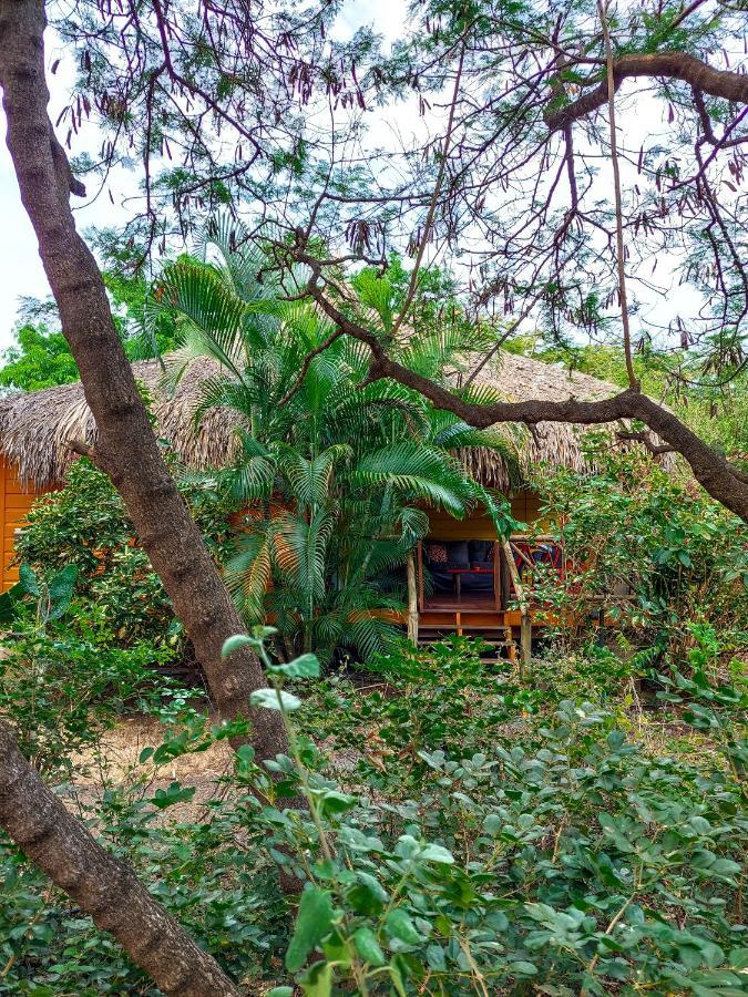 Mondi Lodge Dorp Dorp Sint Michiel المظهر الخارجي الصورة
