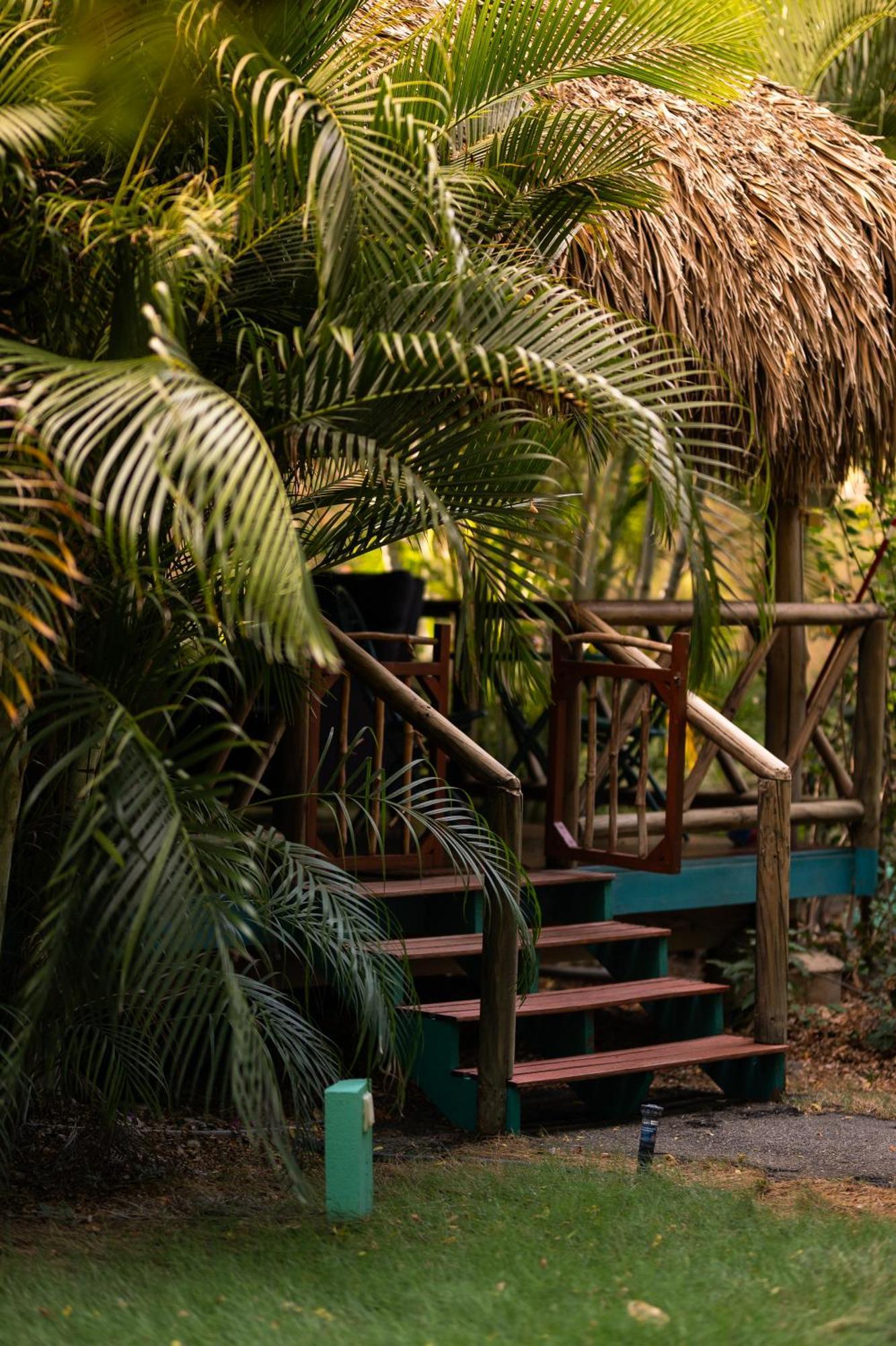 Mondi Lodge Dorp Dorp Sint Michiel المظهر الخارجي الصورة