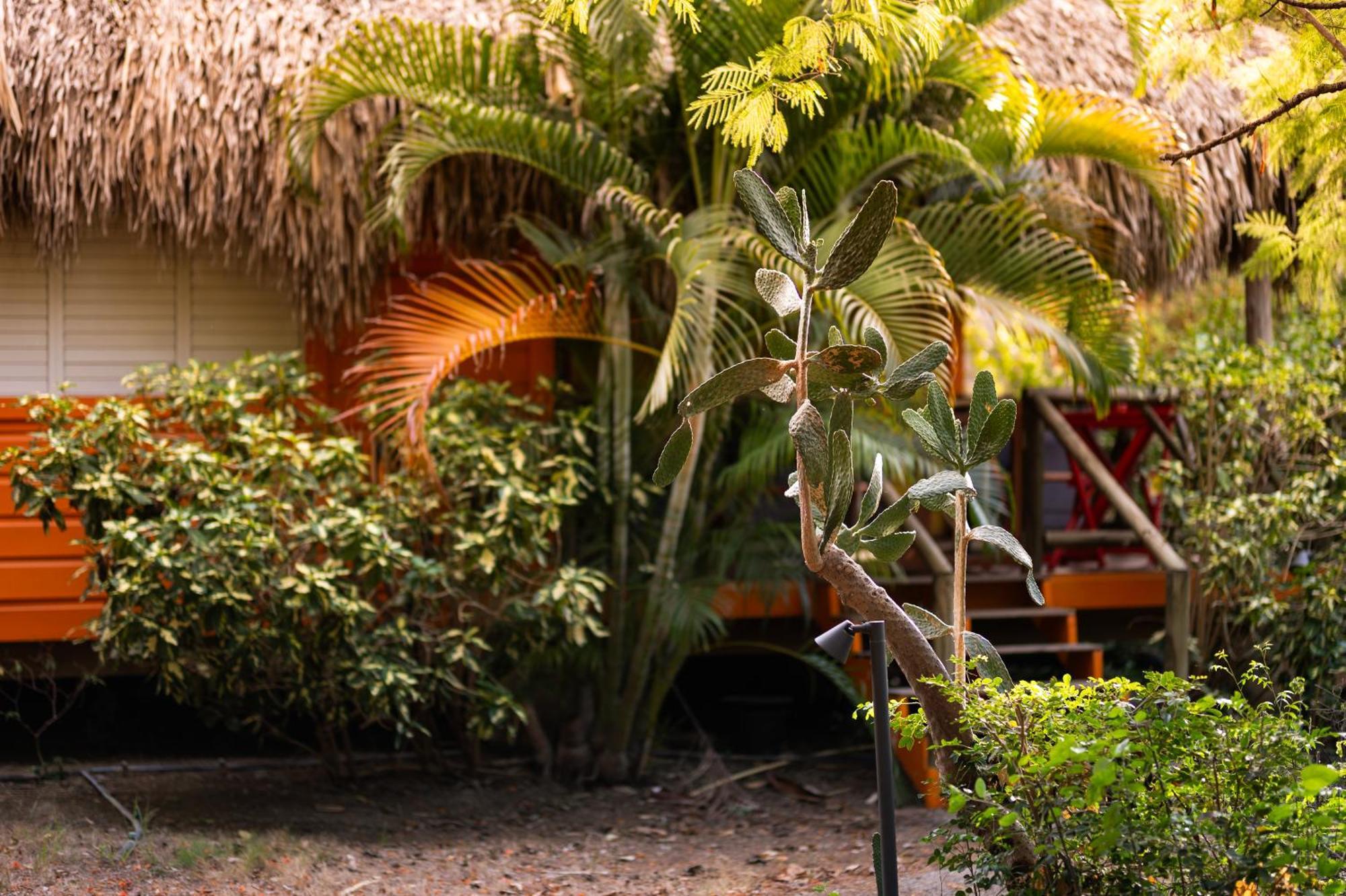 Mondi Lodge Dorp Dorp Sint Michiel المظهر الخارجي الصورة