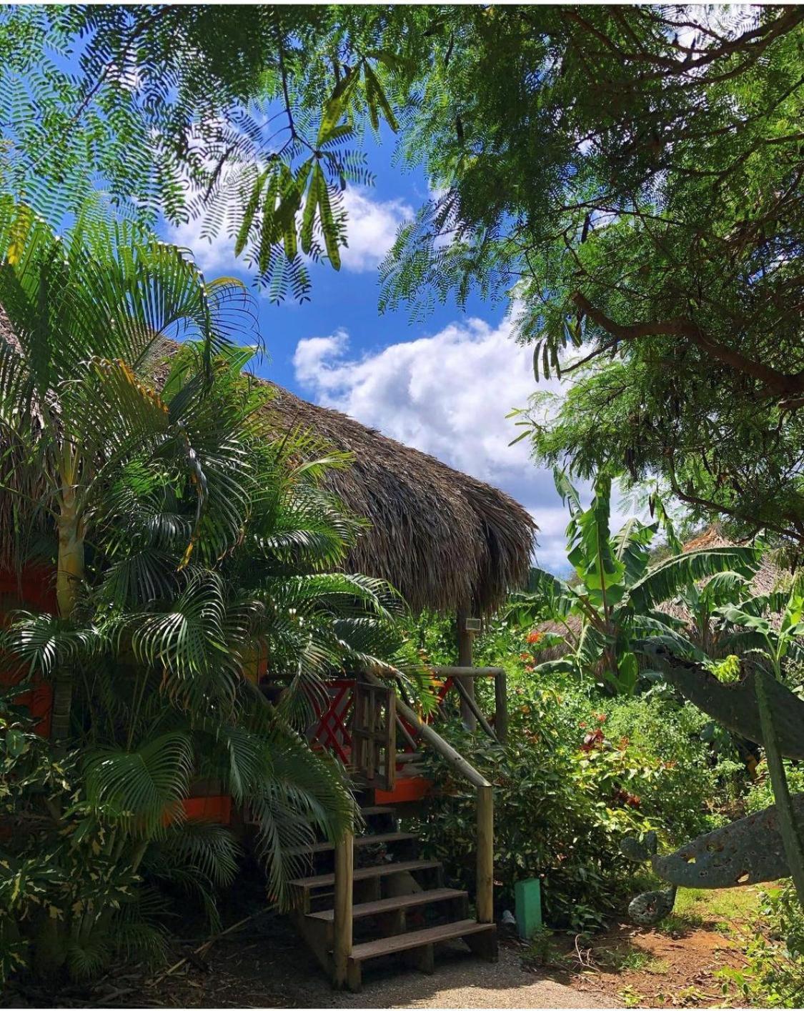 Mondi Lodge Dorp Dorp Sint Michiel المظهر الخارجي الصورة